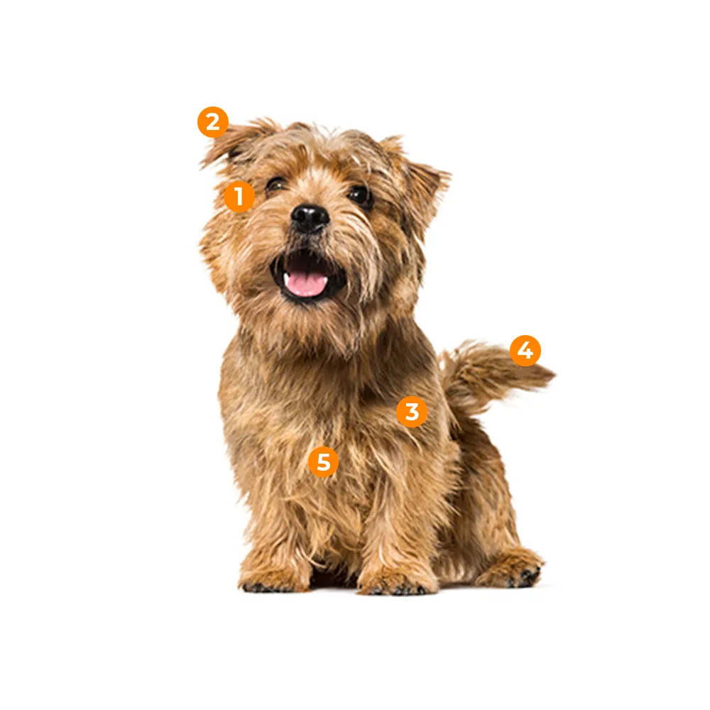 caracteristicas fisicas